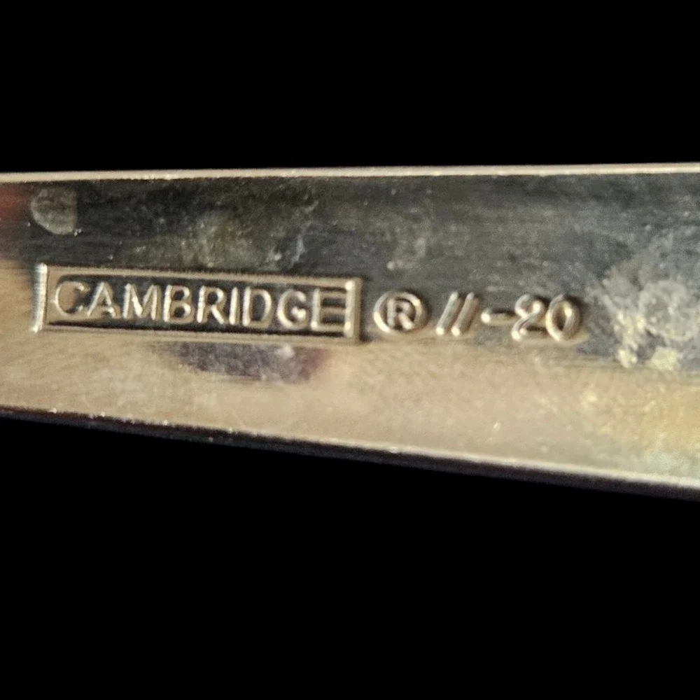 Cambridge 18/8 Stainless Steel Flatware 9 Piece Mixed Forks Spoons